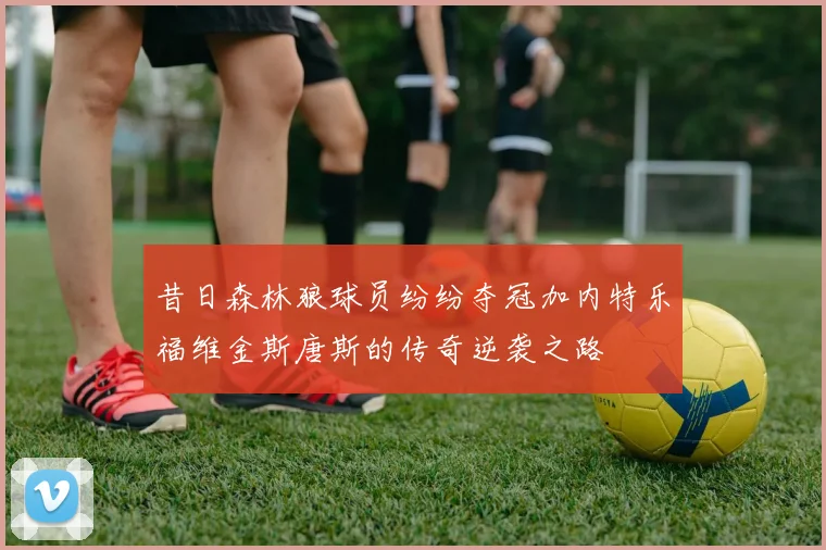 昔日森林狼球员纷纷夺冠加内特乐福维金斯唐斯的传奇逆袭之路