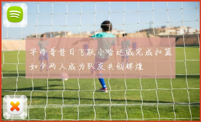 字母哥昔日飞跃小哈达威完成扣篮如今两人成为队友共创辉煌